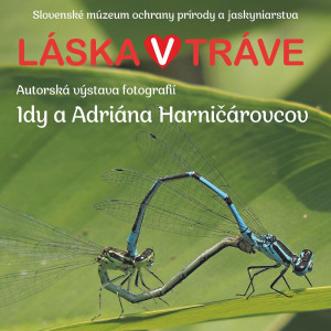 plagat laska v trave 2025.jpg